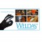 Best PPE fr welders TM Weldas